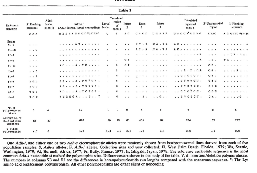 Adh polymorphism